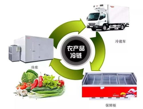 電商助農(nóng)正發(fā)展 配套設(shè)施與科技項(xiàng)目代理服務(wù)助力鄉(xiāng)村振興